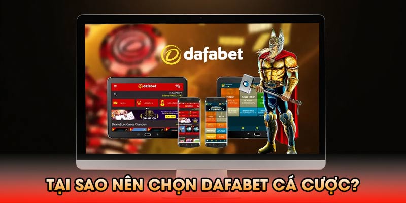 Tại sao nên chọn Dafabet cho trải nghiệm cá cược trực tuyến?